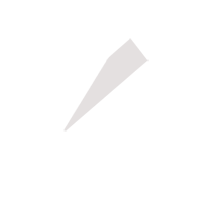 秦皇岛临时保镖服务